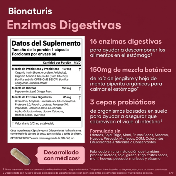 Enzimas Digestivas - Digestión Fácil para tus Platos Favoritos
