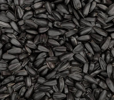 Aceite de semilla negra