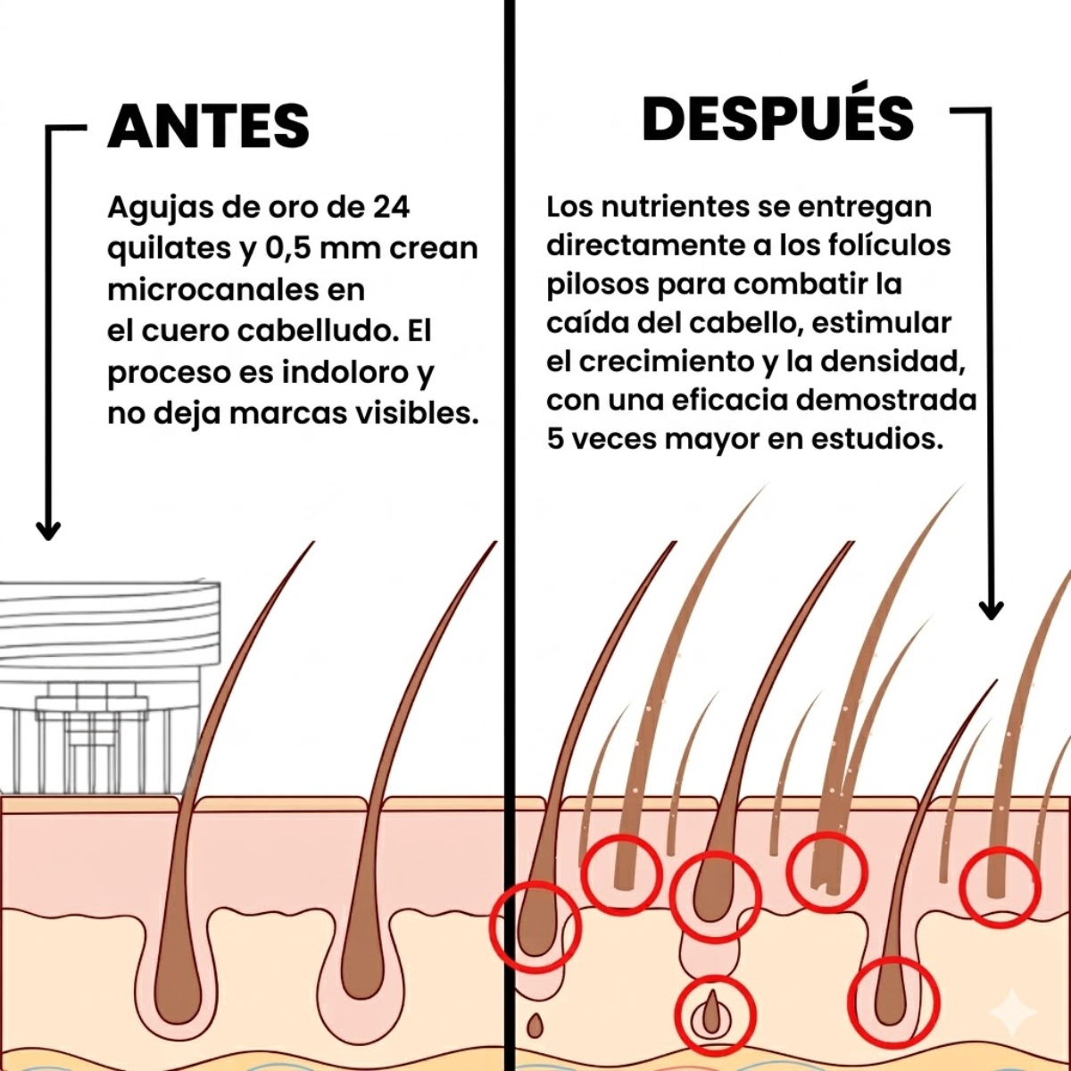 Capilux® InfusiónCapilar Pro Regenerador de Cabello