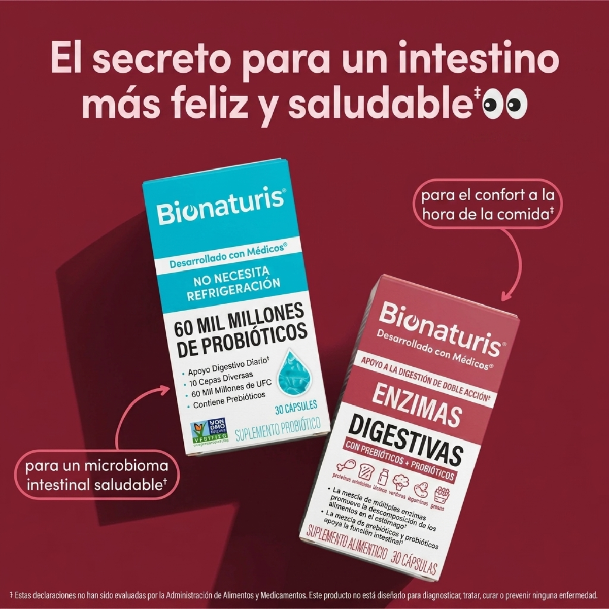 Enzimas Digestivas - Digestión Fácil para tus Platos Favoritos