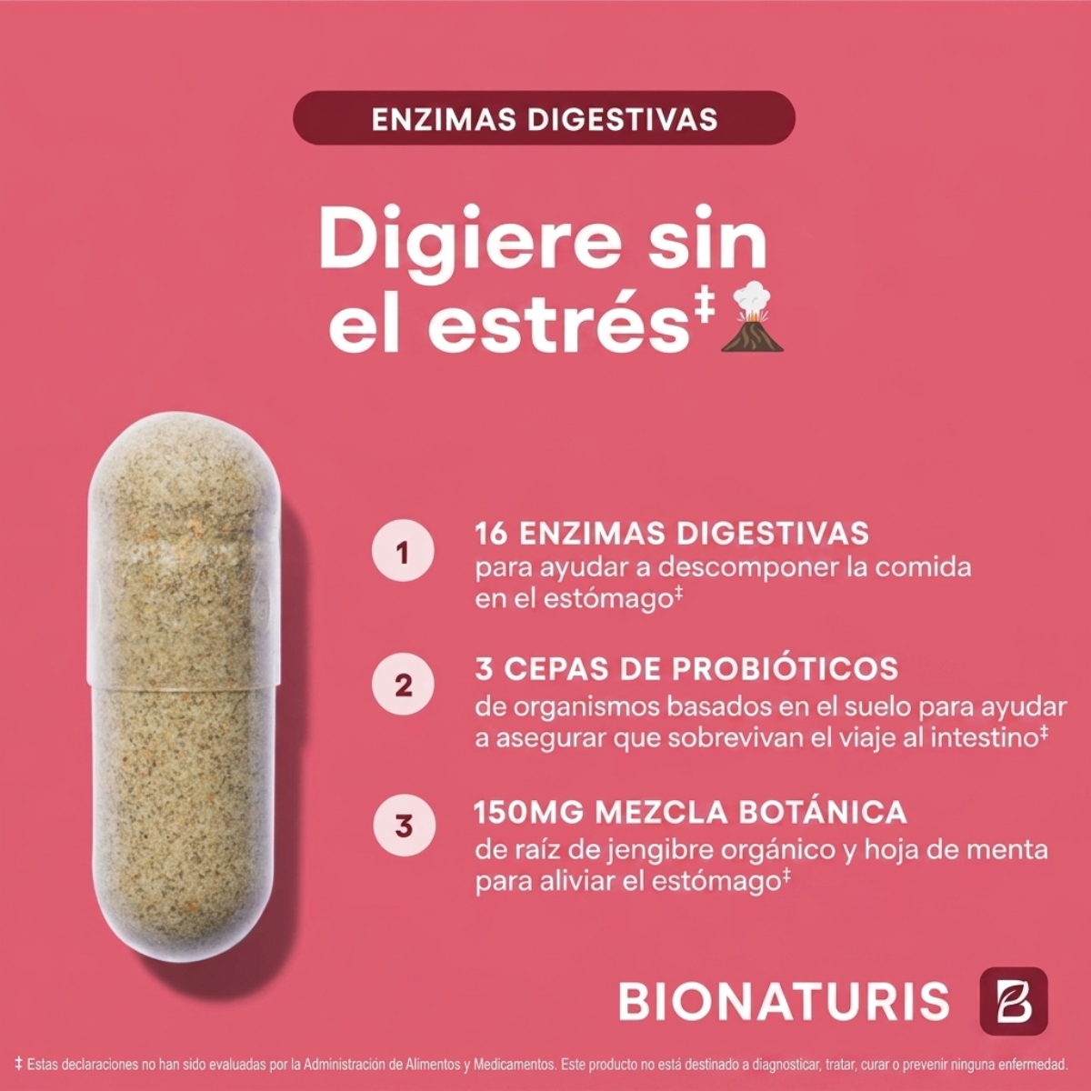 Enzimas Digestivas - Digestión Fácil para tus Platos Favoritos