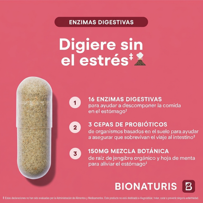 Enzimas Digestivas - Digestión Fácil para tus Platos Favoritos