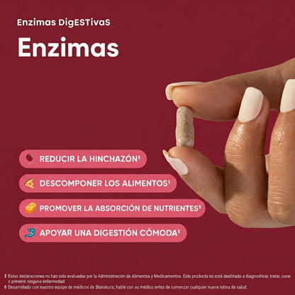 Enzimas Digestivas - Digestión Fácil para tus Platos Favoritos
