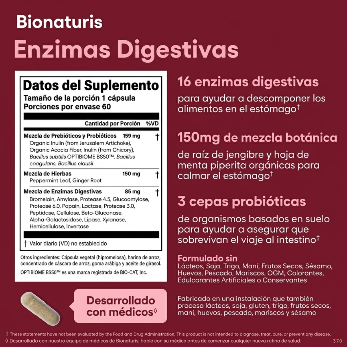 Enzimas Digestivas - Digestión Fácil para tus Platos Favoritos