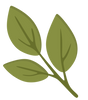 Bienestar icon