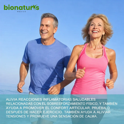 Bisglicinato de Magnesio - Relaja Mente y Ansiedad