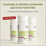 Energizer