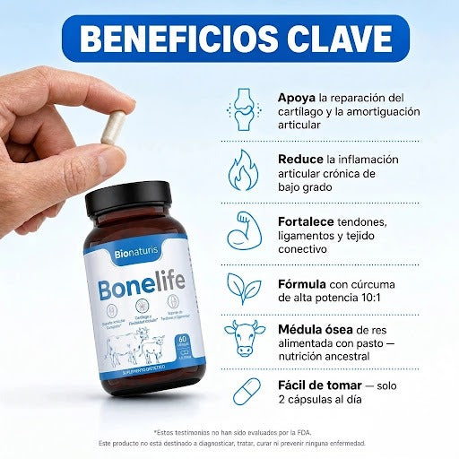 Bonelife